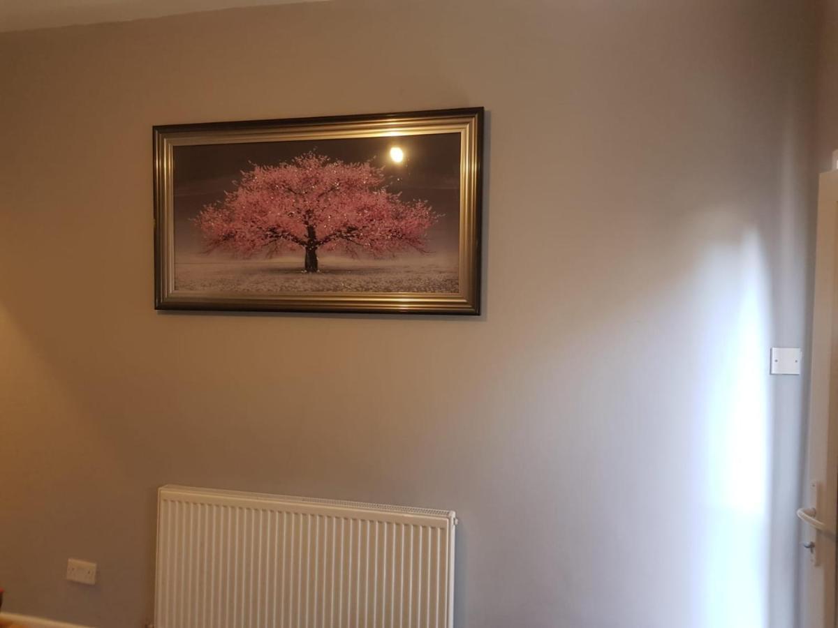 Highfields Living - All Rooms Ensuite- Free Wifi- Free Local Parking Sheffield Exteriör bild